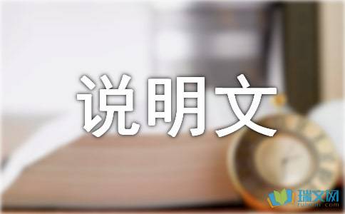 釣魚(yú)的開(kāi)頭作文400字