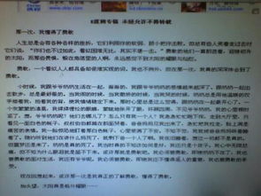 那次我懂得了寬容作文開(kāi)頭結尾