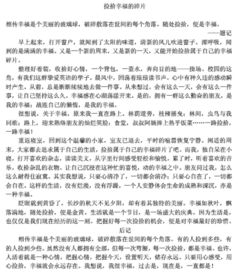 關(guān)于拾取幸福作文的開頭