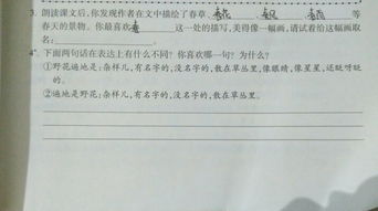 我的同學(xué)作文開(kāi)頭初一