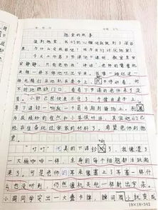 寫同學(xué)和朋友的作文600字作文開頭