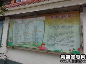 畢業(yè)聯(lián)歡會(huì )作文精彩開(kāi)頭