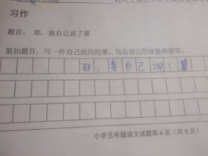 寫(xiě)一件經(jīng)歷的事的作文開(kāi)頭