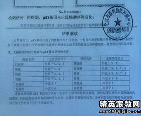 關(guān)于規范辦學(xué)自查報告(關(guān)于規范辦學(xué)行為的自查報告)