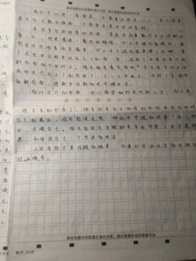 生活要有詩(shī)和遠方作文800字作文開(kāi)頭