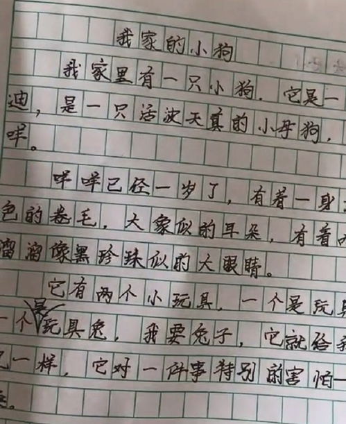 寫(xiě)人描寫(xiě)作文開(kāi)頭結尾