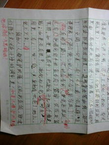 小學(xué)生五級(jí)第四單元600字作文開(kāi)頭