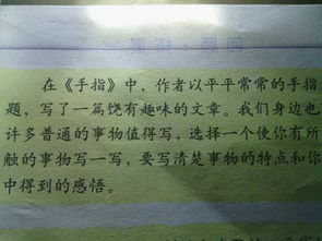 身邊發(fā)現美的作文開(kāi)頭怎么寫(xiě)