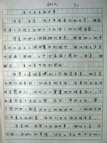 我成長(cháng)中懂得了感恩的作文開(kāi)頭結尾怎么寫(xiě)