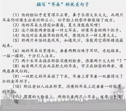 他___了作文優(yōu)美的開(kāi)頭結尾