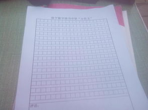 第一次作文開(kāi)頭150字左右