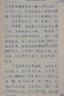 小動(dòng)物作文(中心句開(kāi)頭)