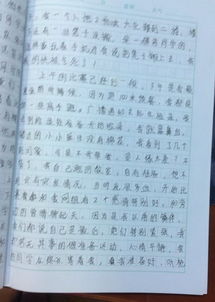 信任與尊重主題1000作文開(kāi)頭