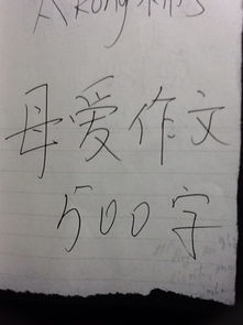 親人的關(guān)心500字作文開(kāi)頭結尾