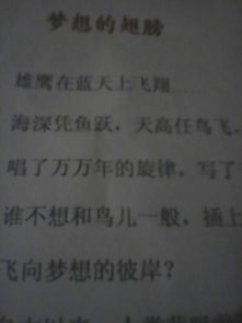 奮斗的夢(mèng)想作文的開(kāi)頭