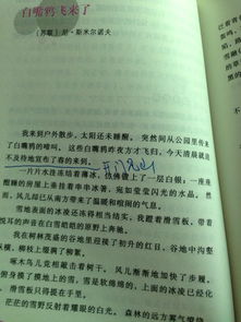 愛(ài)情作文開(kāi)頭設置懸念