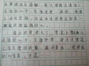 花椰菜的作文的開(kāi)頭和結(jié)尾怎么寫(xiě)
