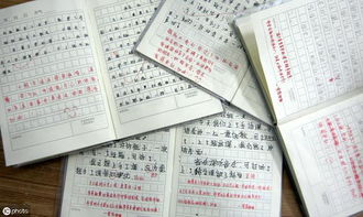 作文,社會(huì )生活,結尾,開(kāi)頭