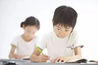 小學(xué)值得珍惜作文600字作文開頭結(jié)尾