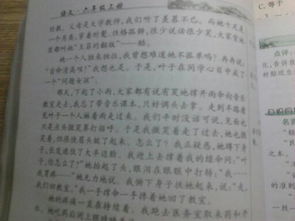 人間真情作文700作文開(kāi)頭
