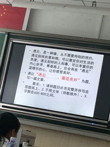 美麗的相遇作文開(kāi)頭