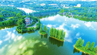 樂(lè)至南湖公園作文開(kāi)頭