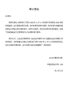 審計報告范文(績(jì)效審計報告范文)