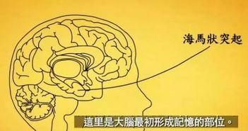 關(guān)于高度的作文開(kāi)頭