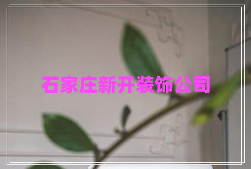石家莊新開(kāi)裝飾公司