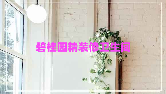 碧桂園精裝修衛生間