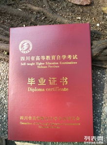 四川傳媒大學(xué)自考本科班招生