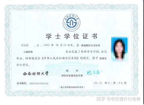 本科學(xué)位英語(yǔ)自考報名