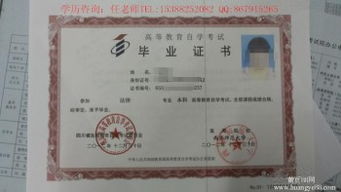 揚州大學(xué)學(xué)前教育自考本科