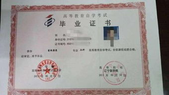 自考專(zhuān)科可以報考自考本科嗎