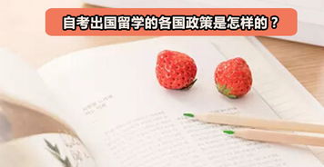 公立學(xué)校承認自考本科嗎