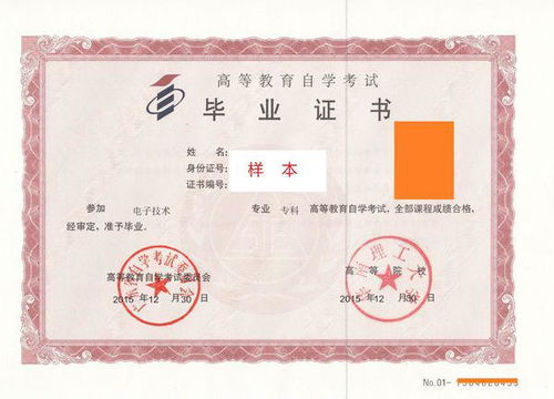 外籍人士參加上海自考本科