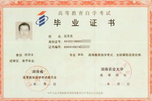 自考本科可以讀哪些專(zhuān)業(yè)