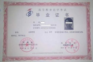自考本科如何填寫畢業(yè)學校