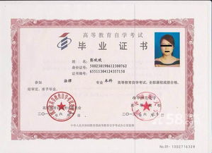 美術(shù)教育自考本科科目