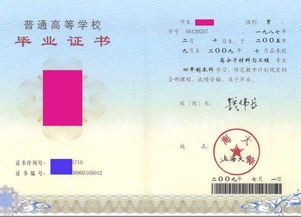 自考動畫設(shè)計(jì)本科山東