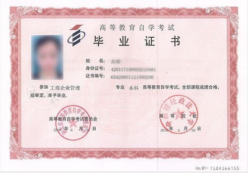 自考本科只要證