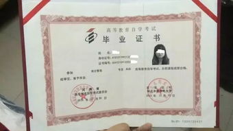 湖南師范專(zhuān)科自考本科公力