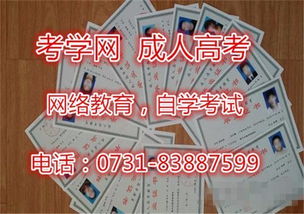 自考本科進(jìn)了培訓機構