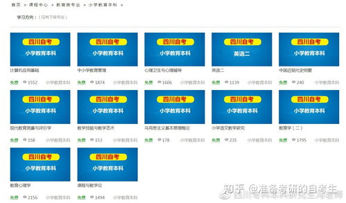 小學教育自考本科學習技巧