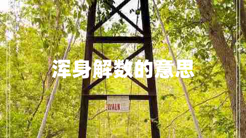 渾身解數的意思