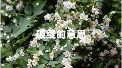 破綻的意思