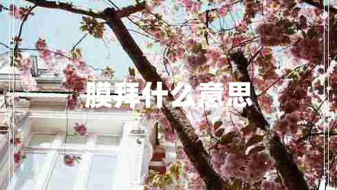 膜拜什么意思