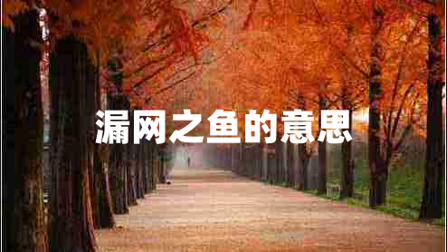 漏網(wǎng)之魚(yú)的意思