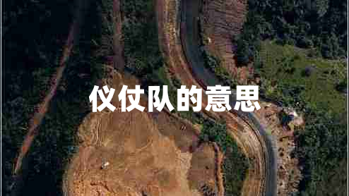 儀仗隊的意思