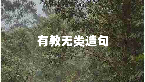 有教無(wú)類(lèi)造句